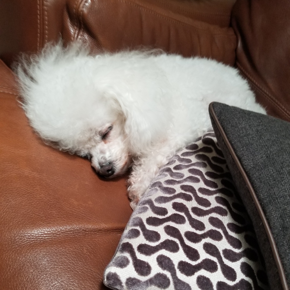 Meet your Posher, Deanna